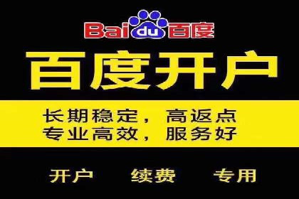 百度推广成本优化：成功案例分享